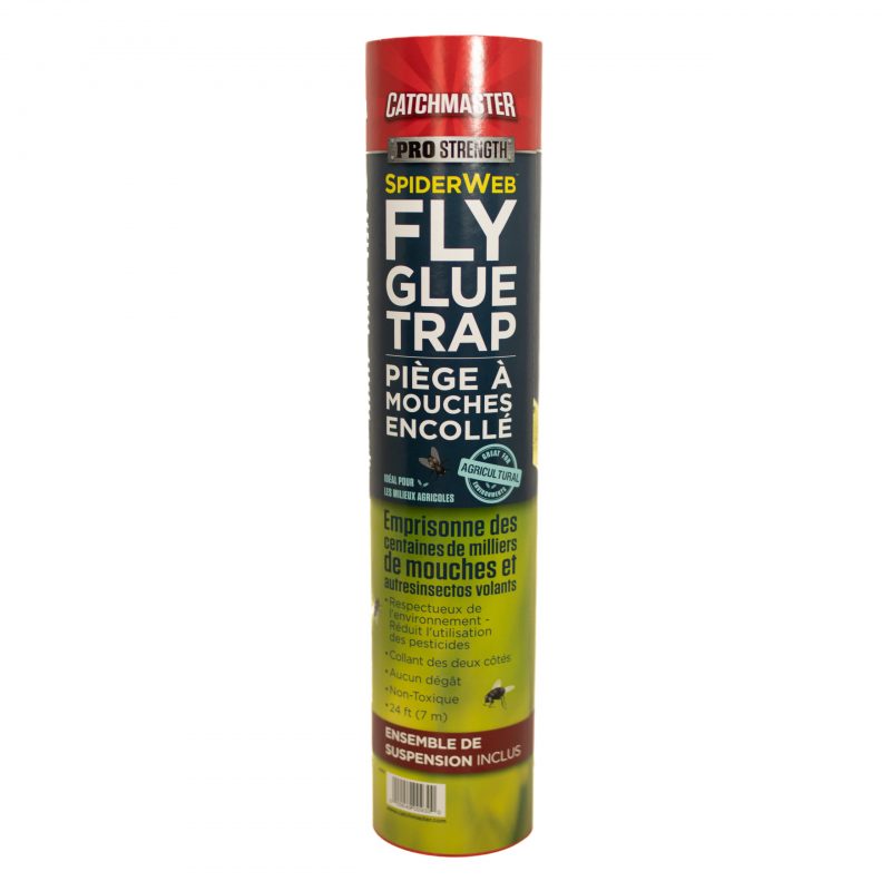 FLY GLUE TRAP1