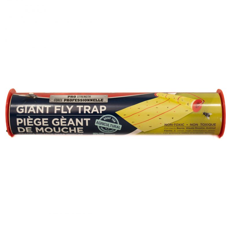 GIANT FLY TRAP FRONT